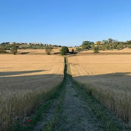 아파트 Tra Gli Olivi E La Riviera Del Conero *