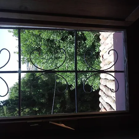 아파트 Tra Gli Olivi E La Riviera Del Conero 누마나