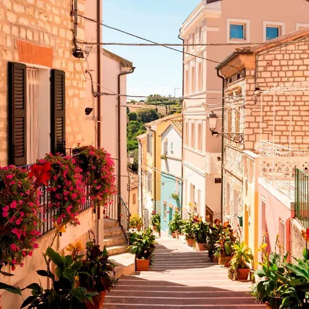 Tra Gli Olivi E La Riviera Del Conero Numana