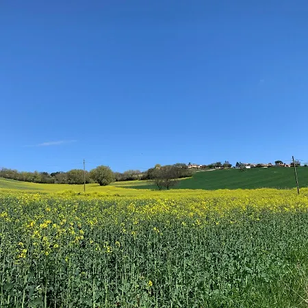 Apartment Tra Gli Olivi E La Riviera Del Conero *