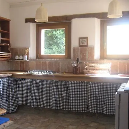 Apartment Tra Gli Olivi E La Riviera Del Conero Numana