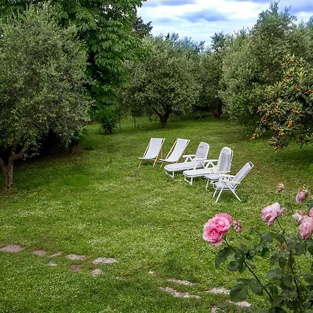 アパート Tra Gli Olivi E La Riviera Del Conero *
